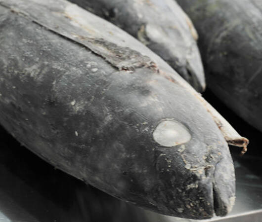 Quartered BC Tuna Loin