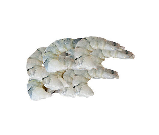 Raw White Shrimp