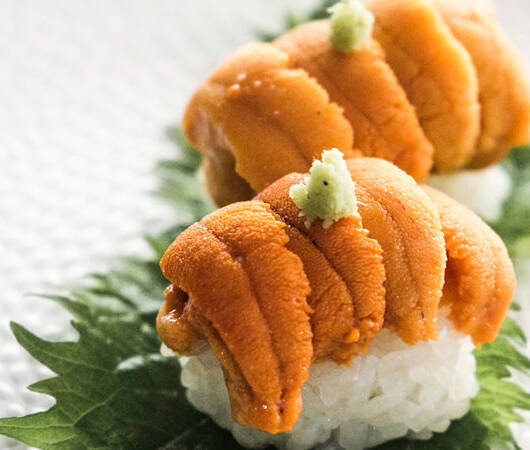 Uni - Sea Urchin Roe